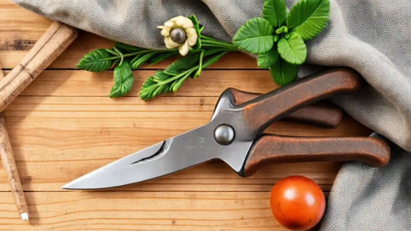 Kompakte Gartenschere mit feiner, gerader Spitze liegt neben frisch geschnittenen Kräutern auf dem Holzrand eines Hochbeets
